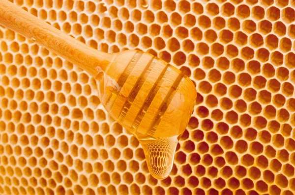 Honey dripping from dipper on background honeycomb — Stock Photo, Image