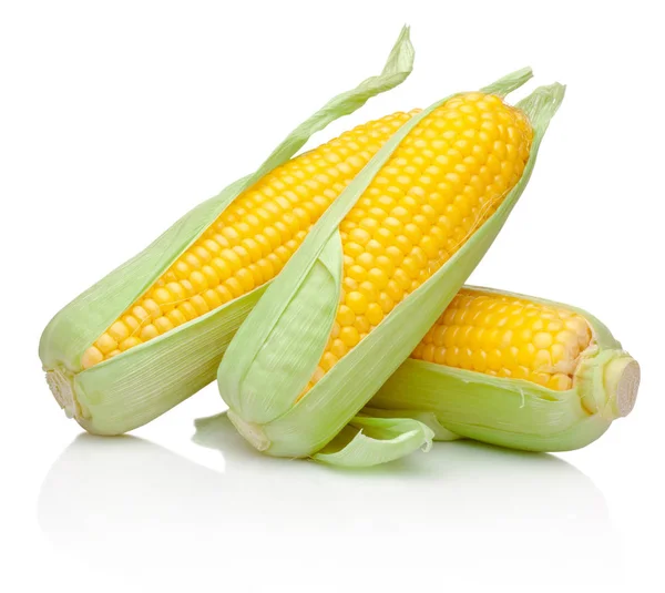 Three corn cob isolated on white background — Stock Photo, Image