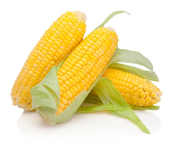 Corn on cob kernels isolated on white background — Stock Photo, Image
