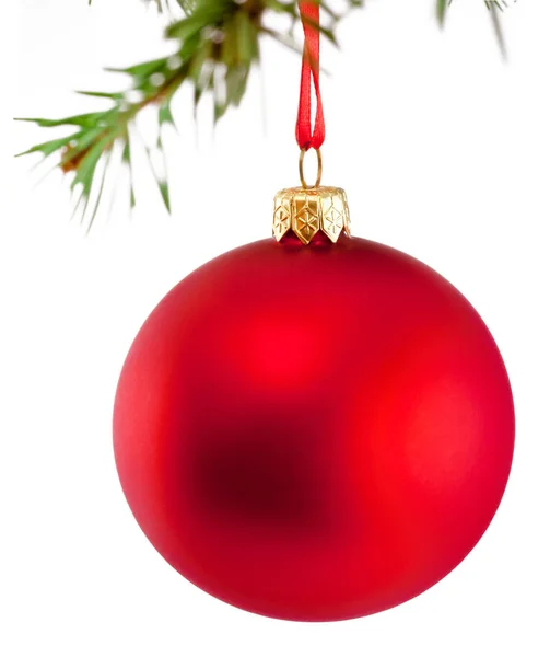 Red Christmas bauble hanging on a fir tree branch Isolated — Stock Photo, Image