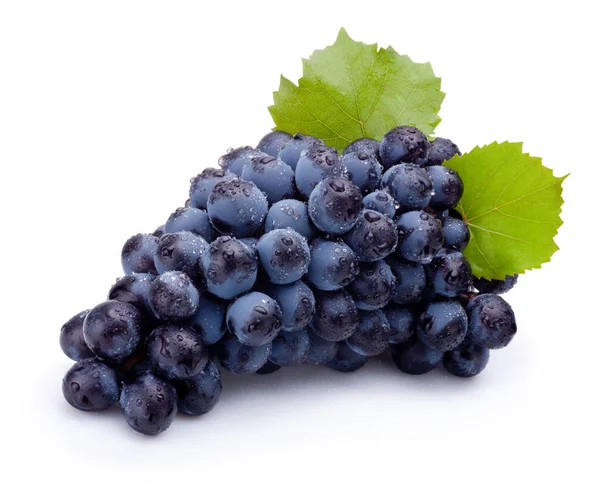 Bunch Wet Blue Grapes Leaves Isolated White Background — Stock Photo, Image