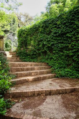 Koridorda moss ile eski bir merdiven.