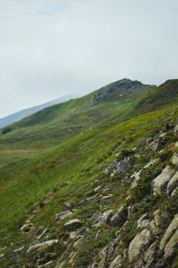 Gündoğumu günbatımı sırasında dağ Vadisi. Doğal yaz manzara. Karpat Dağları manzarada renkli yaz.