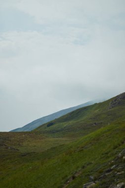 Gündoğumu günbatımı sırasında dağ Vadisi. Doğal yaz manzara. Karpat Dağları manzarada renkli yaz.