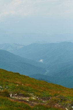 Gündoğumu günbatımı sırasında dağ Vadisi. Doğal yaz manzara. Karpat Dağları manzarada renkli yaz.