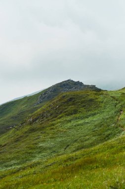 Gündoğumu günbatımı sırasında dağ Vadisi. Doğal yaz manzara. Karpat Dağları manzarada renkli yaz.