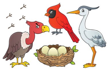 Birds topic collection 1 - eps10 vector illustration. clipart