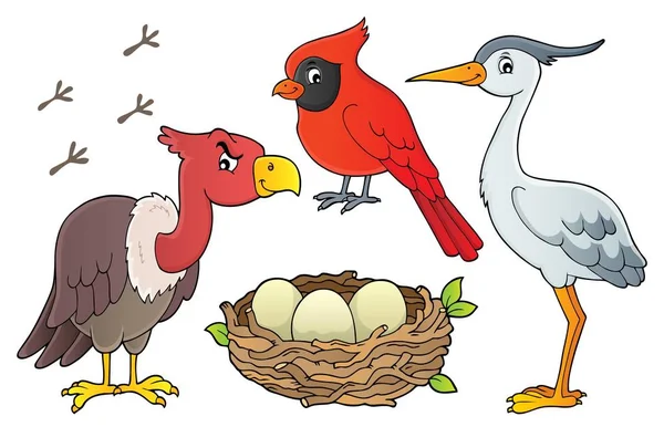 Πουλιά Θεματική Συλλογή Eps10 Διανυσματική Απεικόνιση — Διανυσματικό Αρχείο