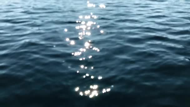 El agua ondulada chispeante brilla en un día soleado de verano — Vídeo de stock