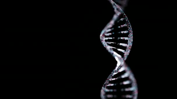 Struttura della catena del DNA — Video Stock