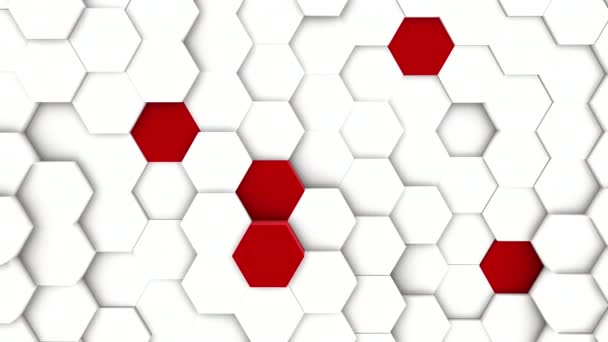 Motif de grille polygonale minimale blanche avec certains éléments de couleur — Video