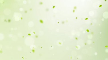 Bahar arka plan ile yeşil yaprakları bokeh petal ve kuşlar