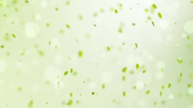 Bahar arka plan ile yeşil yaprakları bokeh petal ve kuşlar