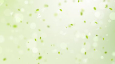 Bahar arka plan ile yeşil yaprakları bokeh petal ve kuşlar