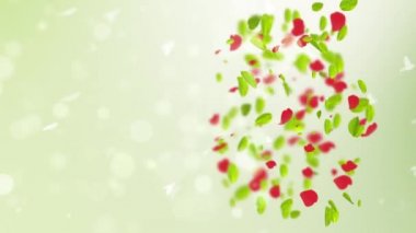 havada ağır çekim bahar arka plan bahar