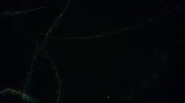 parlak yıldız parlak iz ile toz kaotik kızdırma