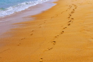 Sri Lanka'daki en popüler altın unawatuna plajı