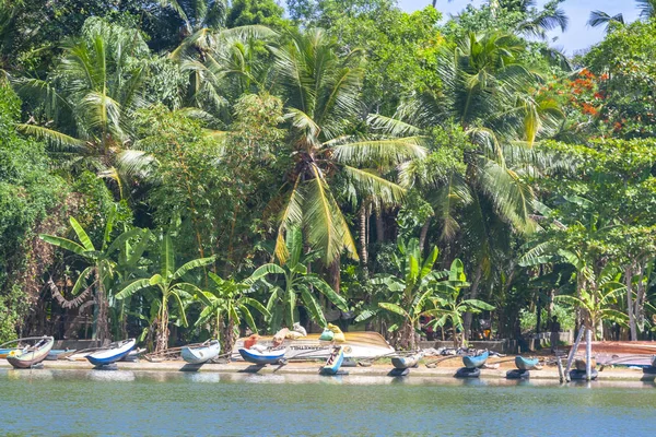 Bateaux de pêche sur la rive du lac de Koggala — Photo