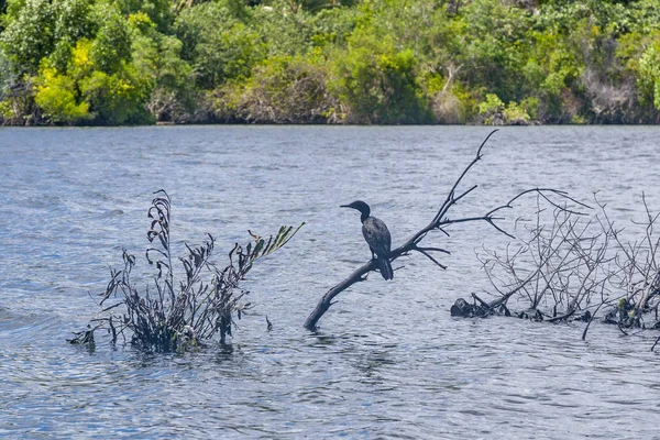 Lago Koggala en el distrito de Galle, sur de Sri Lanka — Foto de Stock