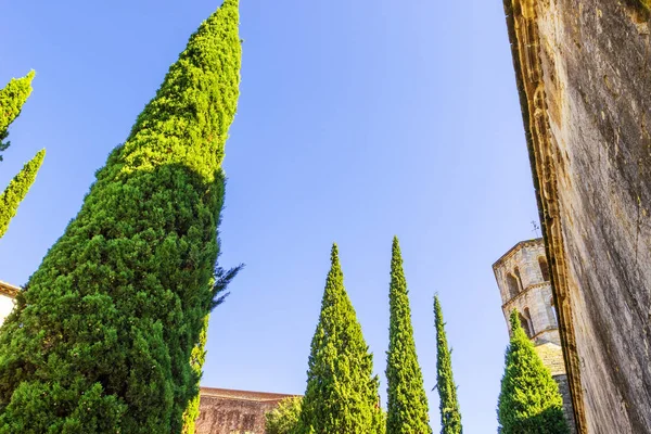 Cathedral of Girona, Girona landmarks, Catalonia, Spain — Stock Photo, Image