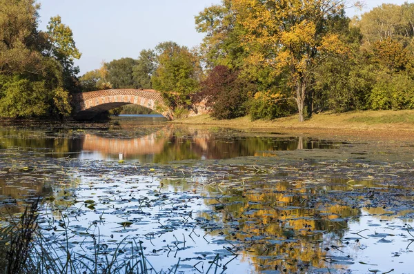 Sonbahar Manzara Köprü Varşova Wilanow Parkında Lüks Polonya Nın Başkenti — Stok fotoğraf