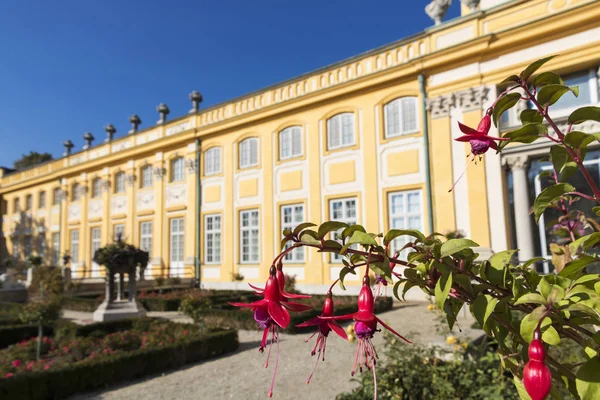 Güzel Varşova Wilanow Sarayı. Polonya'nın başkenti.