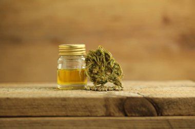 Kenevir yağı cbd ve kenevir bir tablo