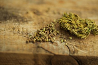 esrar kenevir ve tohum bir tablo