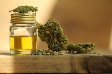 Kenevir yağı cbd kenevir 