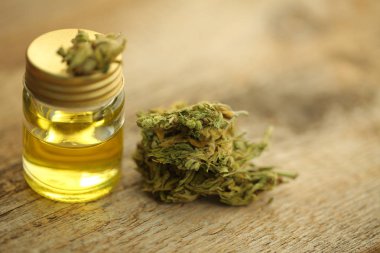 Kenevir yağı cbd kenevir 