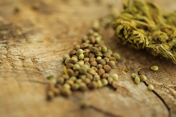 Hennep Cannabis Zaden Een Tafel — Stockfoto