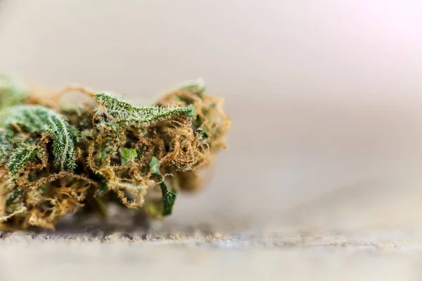 Kannabisz Orvosi Marihuána Bud — Stock Fotó