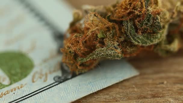 大麻医療用マリファナとドル紙幣 — ストック動画
