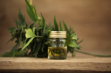 Kenevir yağı cbd bir şişe