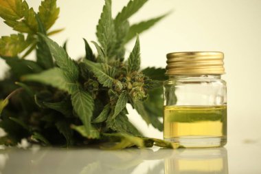 marihuana tıbbi esrar petrol cbd