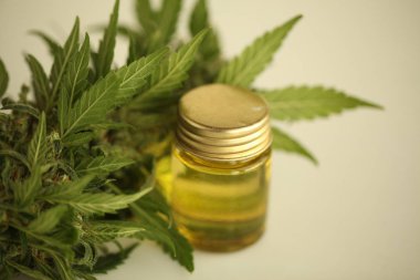 marihuana tıbbi esrar petrol cbd