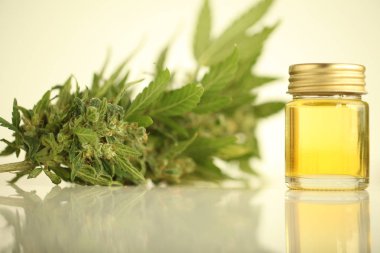 marihuana tıbbi esrar petrol cbd