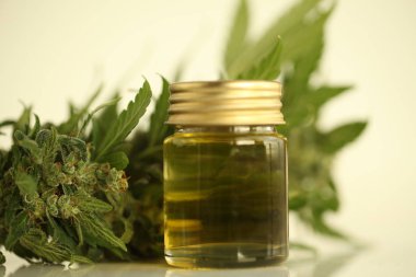 marihuana tıbbi esrar petrol cbd