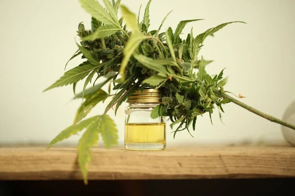 Marijuana Olio Cannabis Medica Cbd — Foto Stock