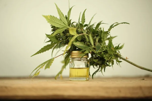 Marijuana Huile Cannabis Médical Cbd — Photo