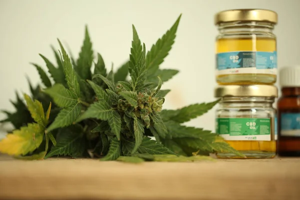 Marihuana Medicinal Aceite Cannabis Cbd — Foto de Stock