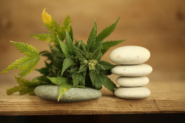 marihuana tıbbi esrar petrol cbd