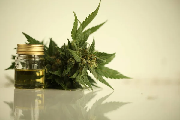 Marihuana Medicinal Aceite Cannabis Cbd — Foto de Stock