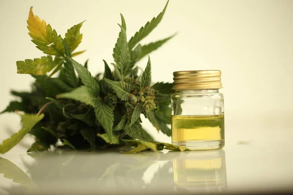 Marihuana Medicinal Aceite Cannabis Cbd — Foto de Stock