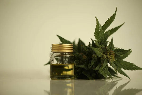 Marihuana Medizinisches Cannabisöl Cbd — Stockfoto