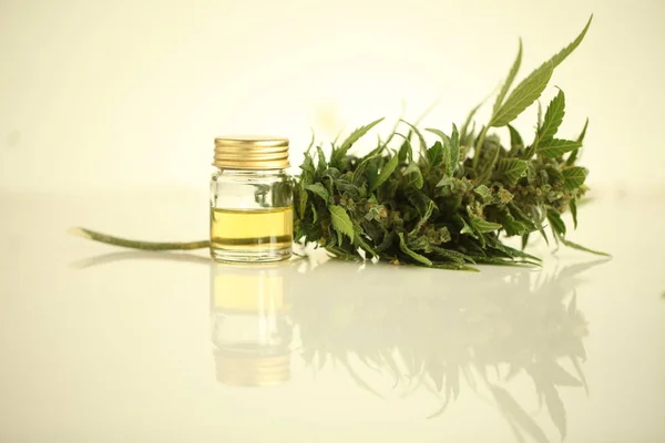 Marihuana Medicinal Aceite Cannabis Cbd — Foto de Stock