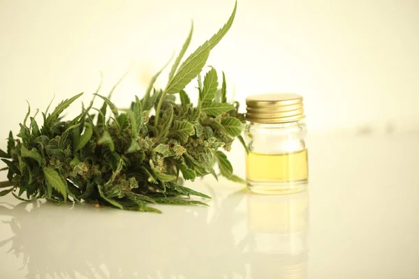 Marihuana Medicinal Aceite Cannabis Cbd — Foto de Stock