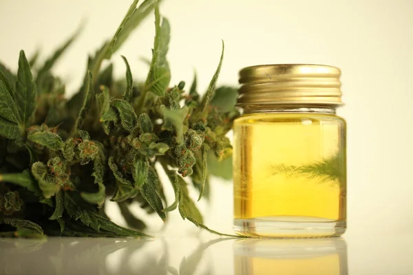 Marihuana Medicinal Aceite Cannabis Cbd — Foto de Stock