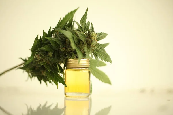 Maconha Óleo Cannabis Medicinal Cbd — Fotografia de Stock