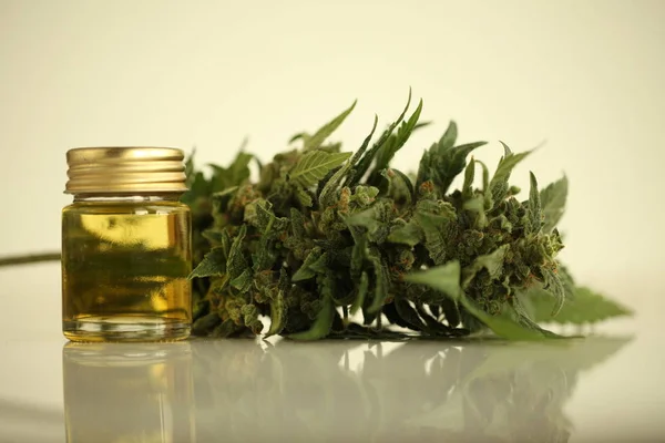 Marihuana Medicinal Aceite Cannabis Cbd — Foto de Stock